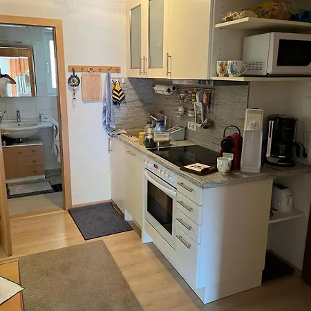 Schoene Aussicht Daire Todtmoos