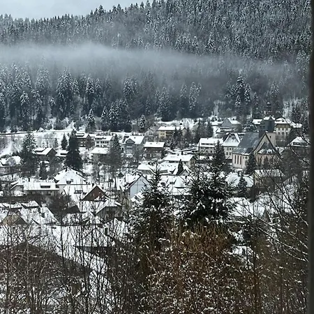 Schoene Aussicht Todtmoos